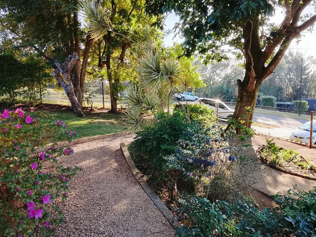 A gravel path winding through the school garden past flowering azaleas
