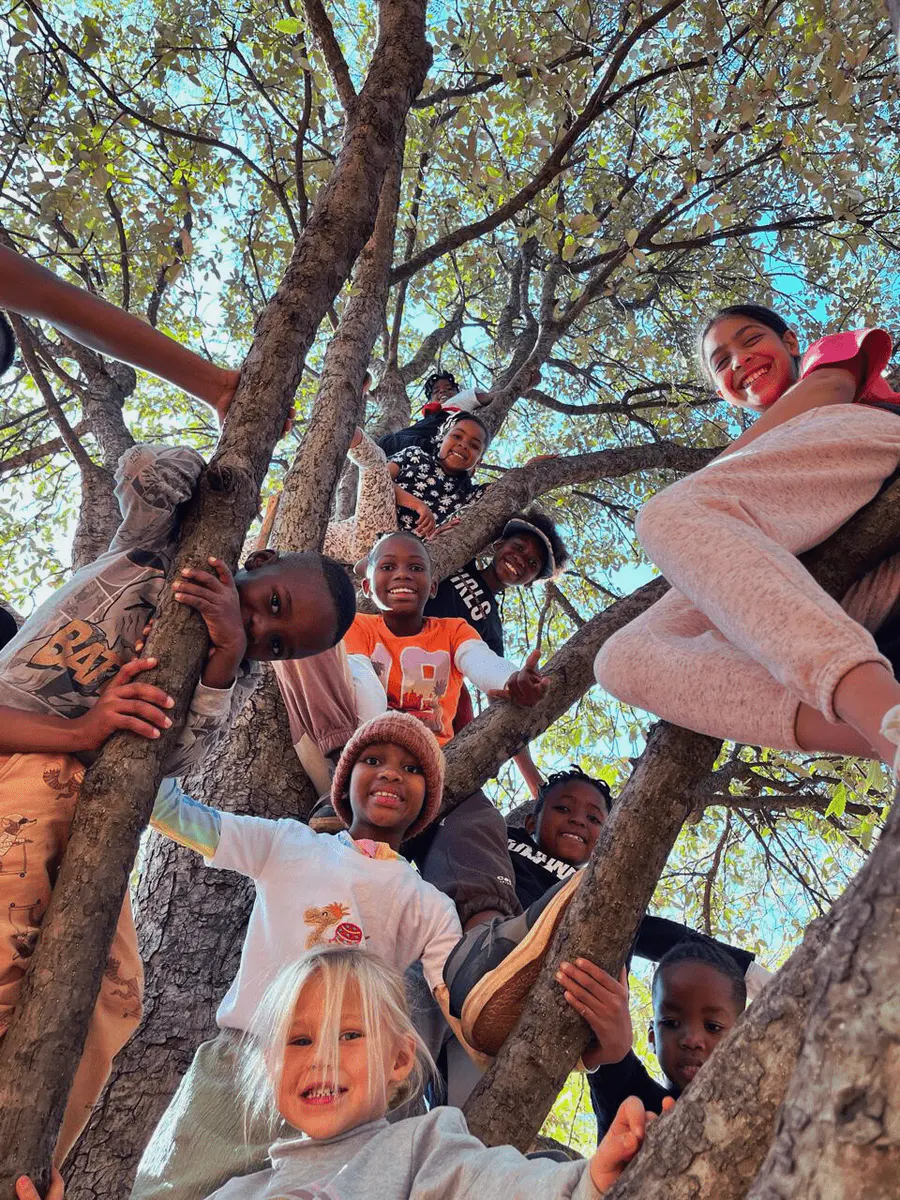 Children sitting in the branches of a large tree in the school grounds