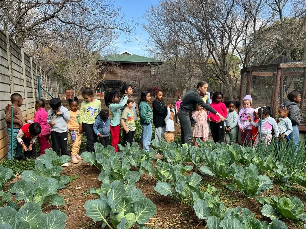 Children standing along the edge of a planted vegetable bed in the school garden
